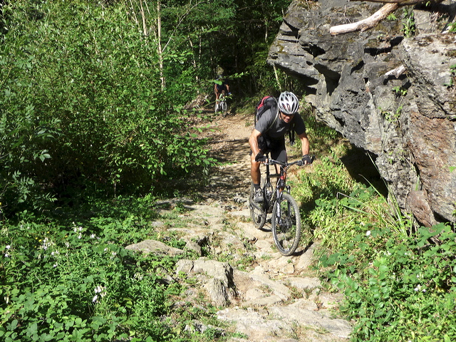 VTT dans le Tarn