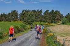 Chemin de Saint Guilhem (Aubrac 2020)